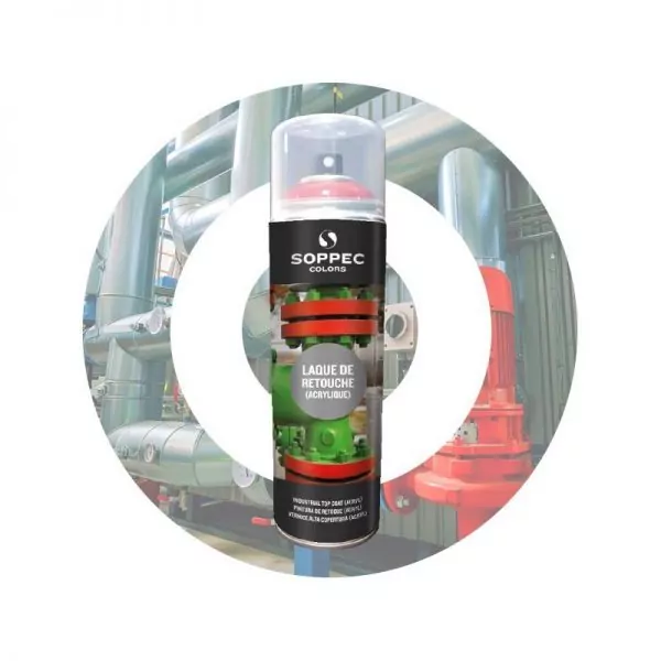 Аэрозольная краска Soppec RAL