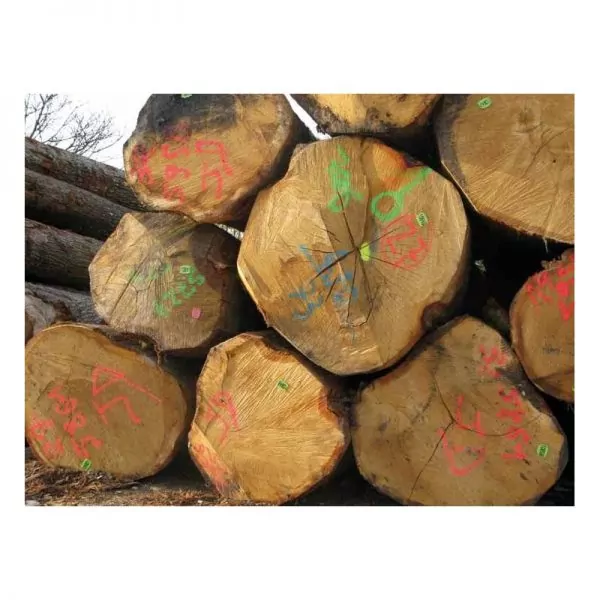 Аэрозольная флуоресцентная краска Soppec Flash marker — изображение 3