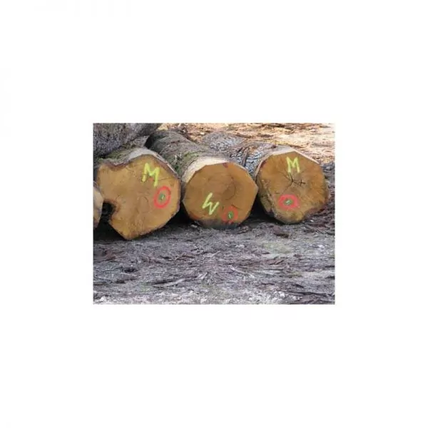 Аэрозольная флуоресцентная краска Soppec Flash marker — изображение 4