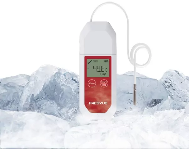 термоиндикатор с выносным датчиком ZLOGPro-50T