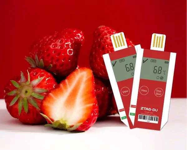 влагозащищенный термоиндикатор температуры ZTAG-DU