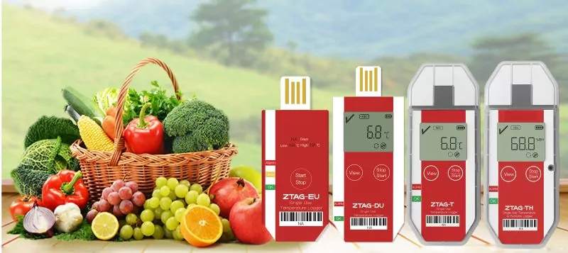 Одноразовый индикатор температуры ZTAG-E