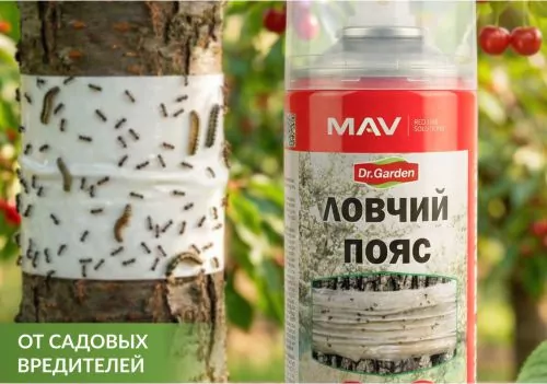 ловчий пояс